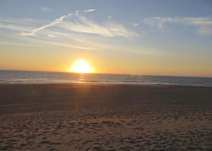 Dream House On The * 피게이라다포즈