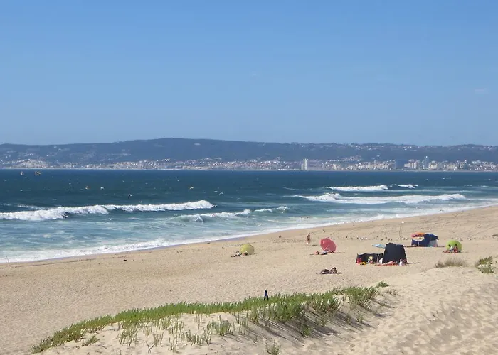 펜션 Dream House On The